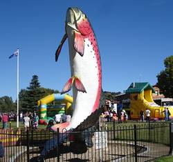 Big Trout and jumping castle at Adaminaby Easter Fair