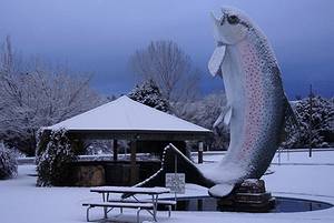 Adaminaby's Big Trout Sculpture in the Snow